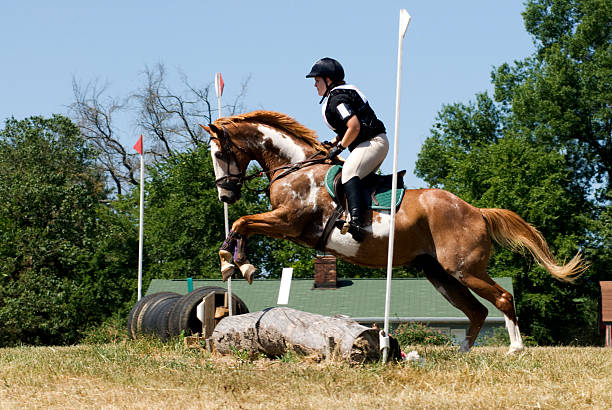 istock Rider jumping cross country obstacle 172843818