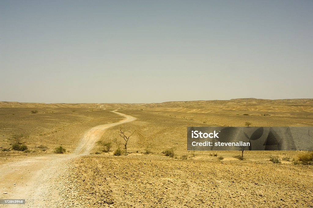 Desert - Photo de Arbre libre de droits
