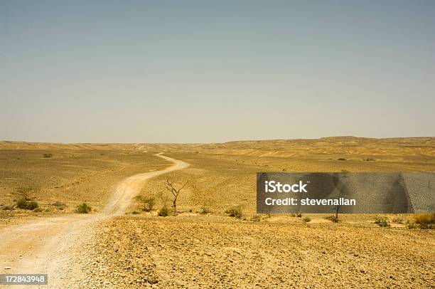 Photo libre de droit de Desert banque d'images et plus d'images libres de droit de Arbre - Arbre, Aride, Asie de l'Ouest