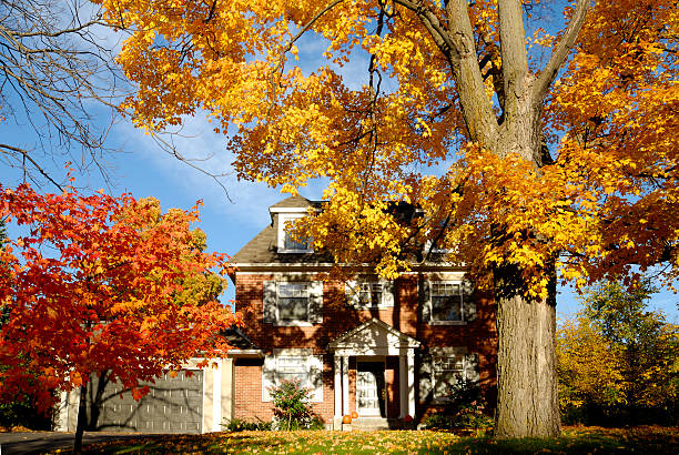 istock Autumn in a village 172844118