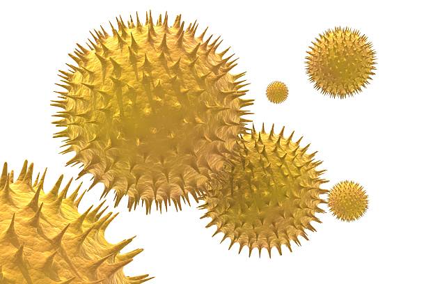 2019 nCov-Corona virus cell outbreak. Viral cells isolated on white background