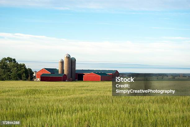 Red Barns Field Von Gerste Stockfoto und mehr Bilder von Agrarbetrieb - Agrarbetrieb, Außenaufnahme von Gebäuden, Bauwerk