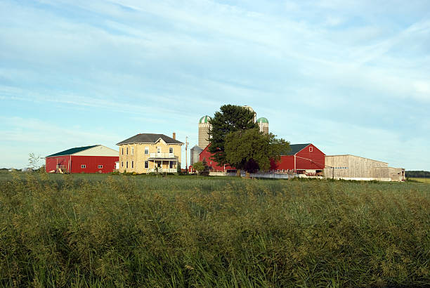 istock Farmstead by Hay Field 172844289