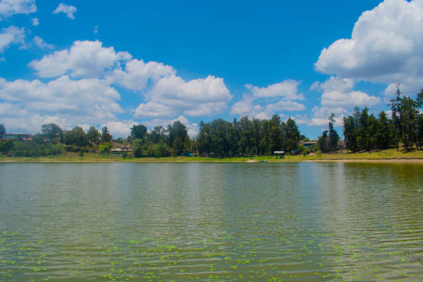 lago limpio con arboles de fondo