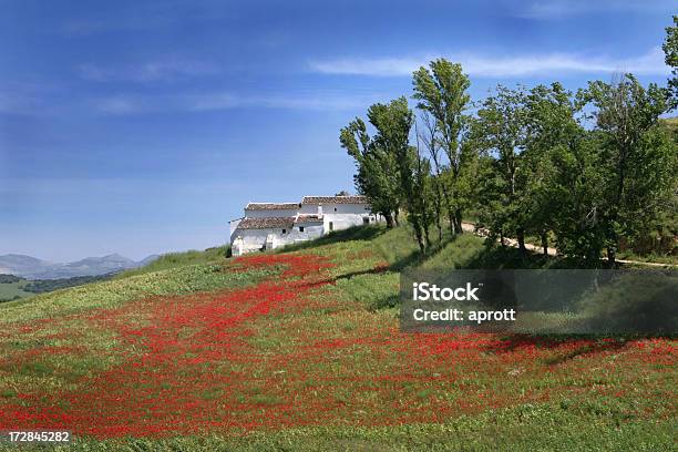 Photo libre de droit de Paysage Avec Champ De Maïs Coquelicots Rouges banque d'images et plus d'images libres de droit de Grazalema - Grazalema, Andalousie, Arbre