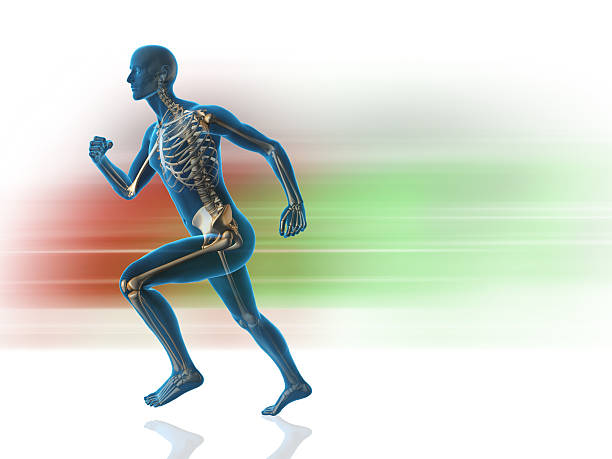 istock A blue man with skeleton showing that is running 172845411