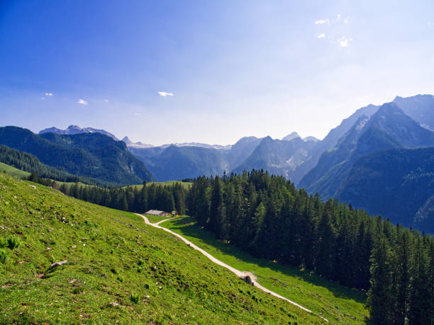 istock Bavarian alps landscape in summer 1728456306