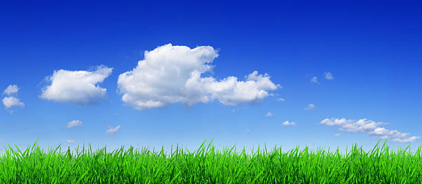 istock Green grass, the blue sky and white clouds (XXXL size) 172846374