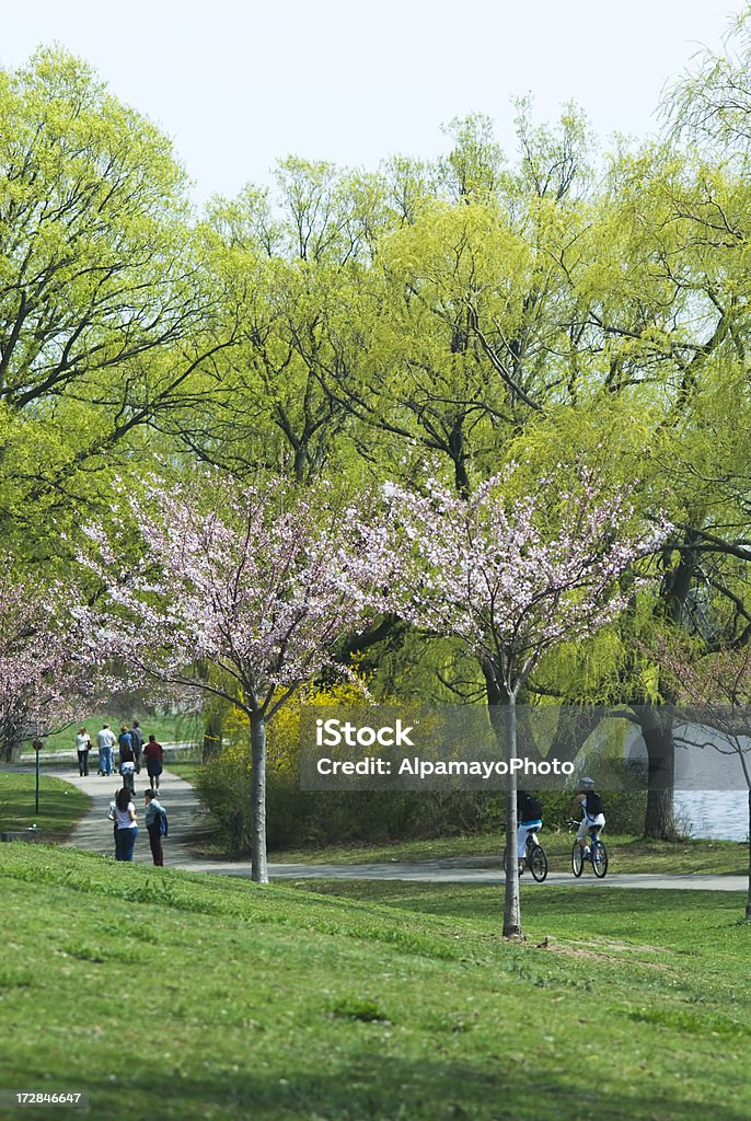 Parque urbano na Primavera - Royalty-free Abril Foto de stock