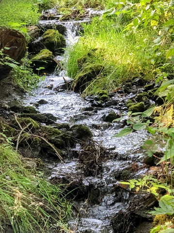 The beauty of an ice cold mountain stream flowing down a hillside located during a hike