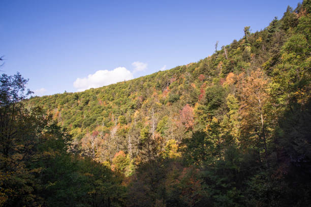 istock Autumn in the mountains 1728469716