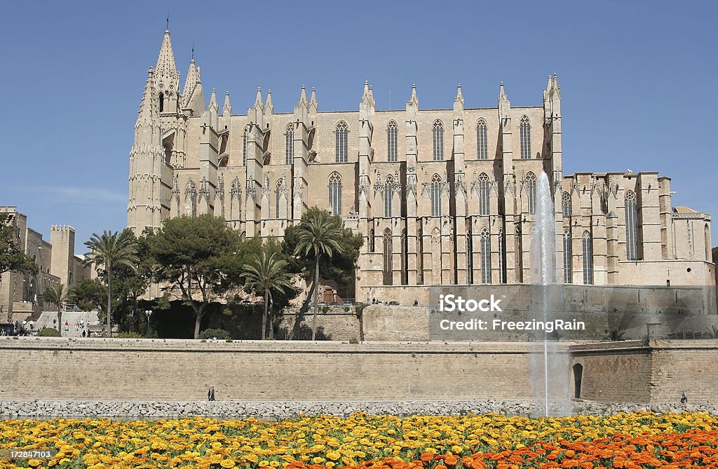 Cathedrale Palma de Mallorca - Zbiór zdjęć royalty-free (Architektura)