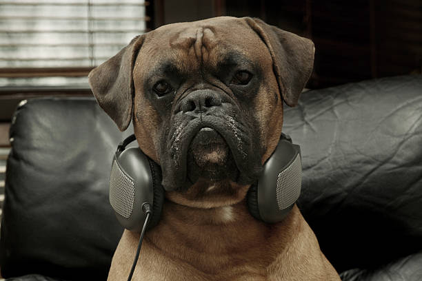 istock Listening to music 172847157