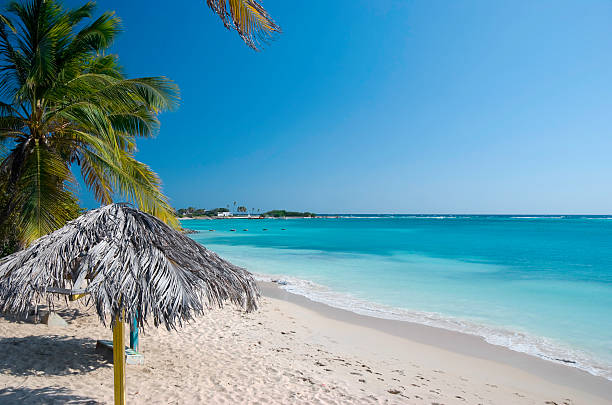 Tranquil coastline at twilight in Aruba, features motion-blurred waves washing over rocks beneath a blue and cloudy sky, with a beach palapa.