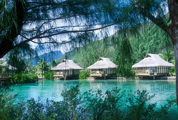 istock Bungalows in Tropical Paradise 172847927