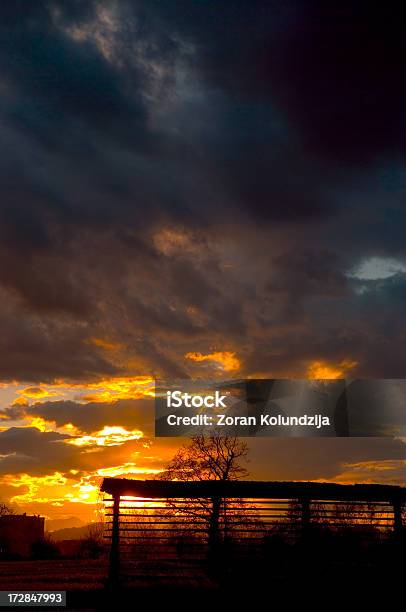 Dopo La Tempesta - Fotografie stock e altre immagini di A bioccoli - A bioccoli, Ambientazione esterna, Ambientazione tranquilla