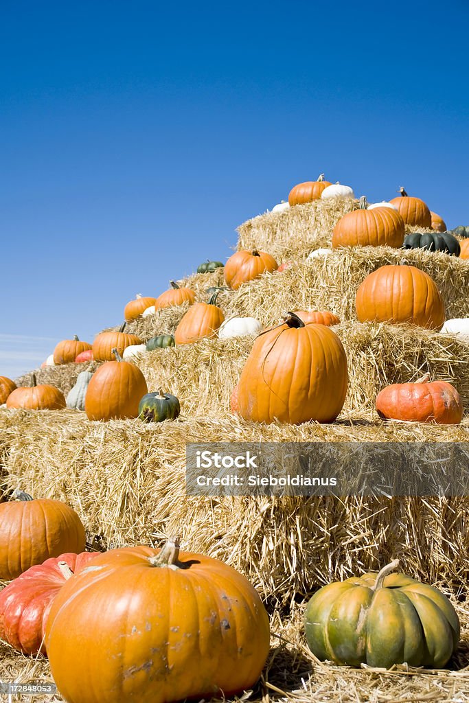 Pumpkins on bales of straw. Bale Stock Photo