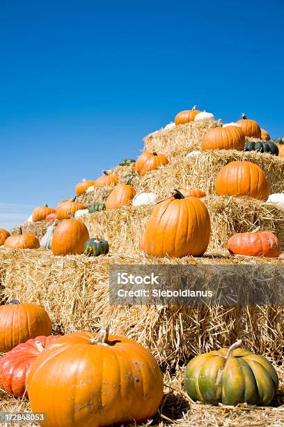 Pumpkins On Bales Of Straw Stock Photo - Download Image Now - Bale, Blue, Celebration Event