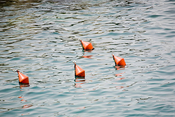 istock bobbing markers on the ocean 172848651