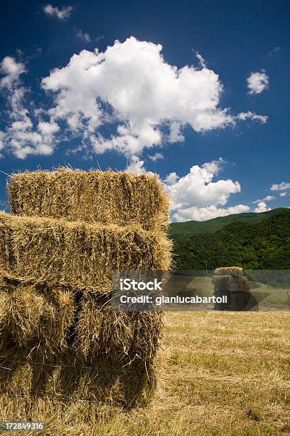 Hay In Den Sommer Stockfoto und mehr Bilder von Am Rand - Am Rand, Arbeit und Beschäftigung, Arbeiter