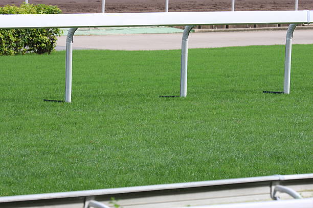 istock Horse Racing Track 172849433