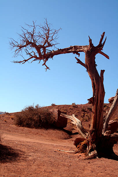 Monument Valley in Arizona and Utah stock photo