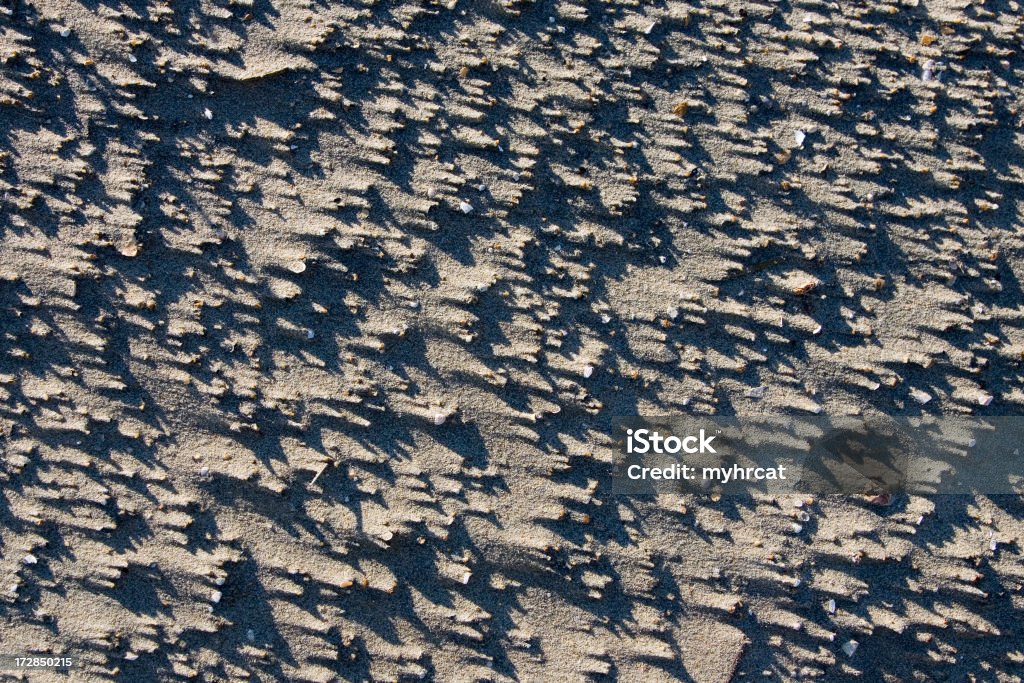 Sombras en la arena - Foto de stock de Concha - Parte del cuerpo animal libre de derechos