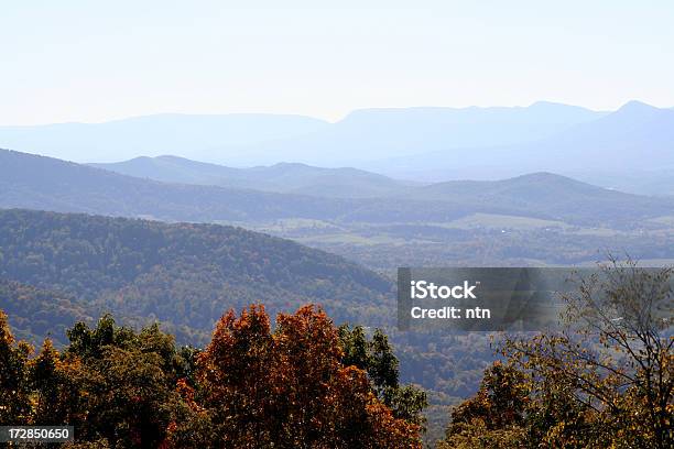 Parque Nacional Shenandoah Virginia Foto de stock y más banco de imágenes de Aire libre - Aire libre, Arbusto, Belleza de la naturaleza