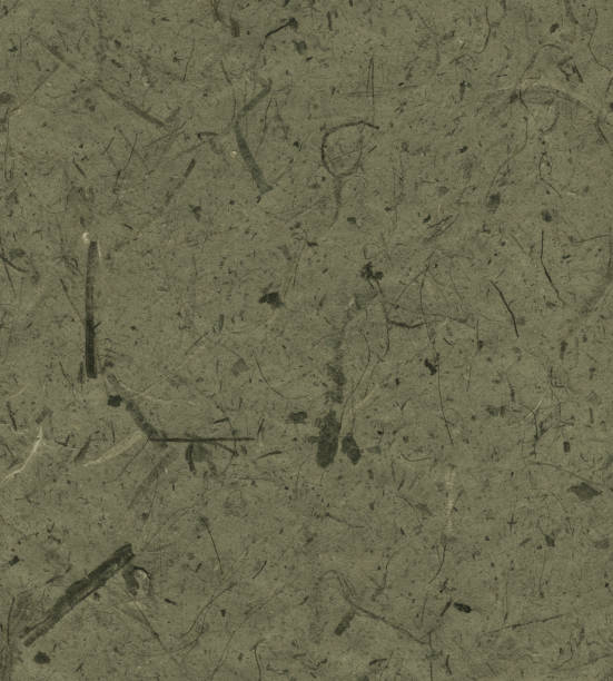 istock dark green recycled paper 172850667