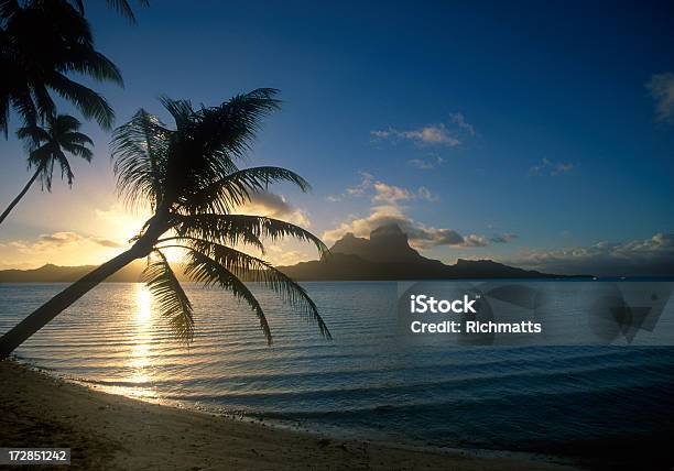 Borabora Французская Полинезия — стоковые фотографии и другие картинки Без людей - Без людей, Бора-Бора, Вода