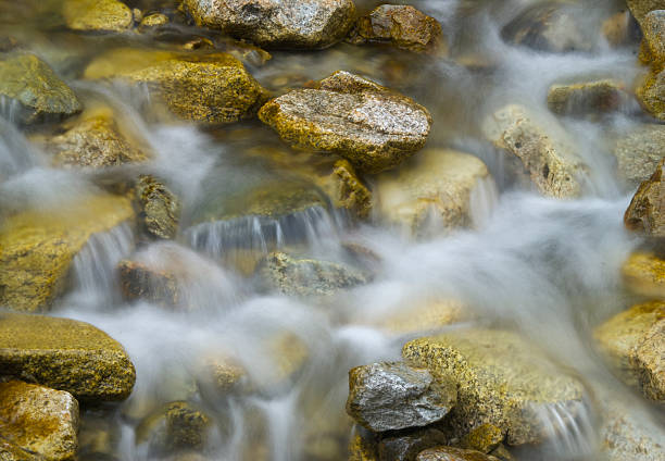 potok - beauty in nature clean cool stream zdjęcia i obrazy z banku zdjęć