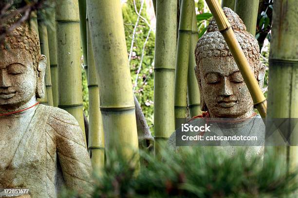 Buddhas Bez Powiadamiania Rozważał Las Bambusowy - zdjęcia stockowe i więcej obrazów Budda - Budda, Medytować, W stanie Zen