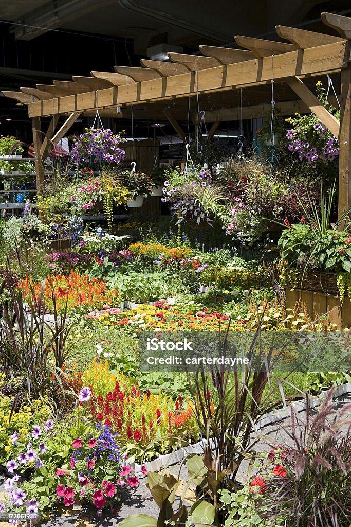 Al aire libre mercado de flores frescas - Foto de stock de Petunia libre de derechos