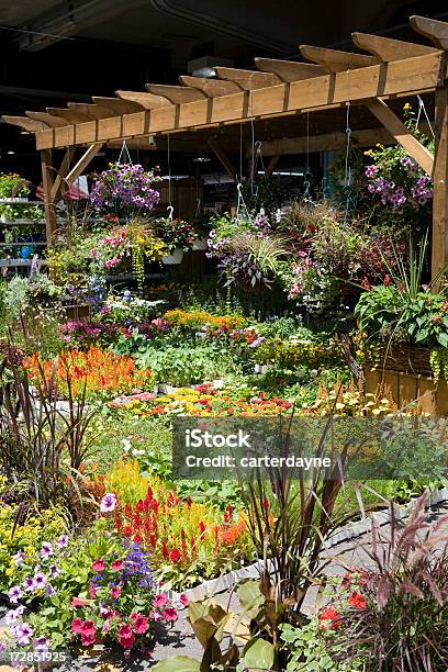 Al Aire Libre Mercado De Flores Frescas Foto de stock y más banco de imágenes de Petunia - Petunia, Zinnia, Abundancia