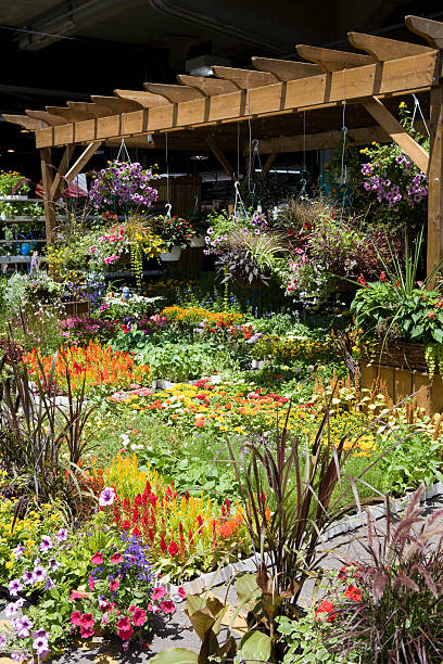 istock Outdoor fresh flower market 172851925