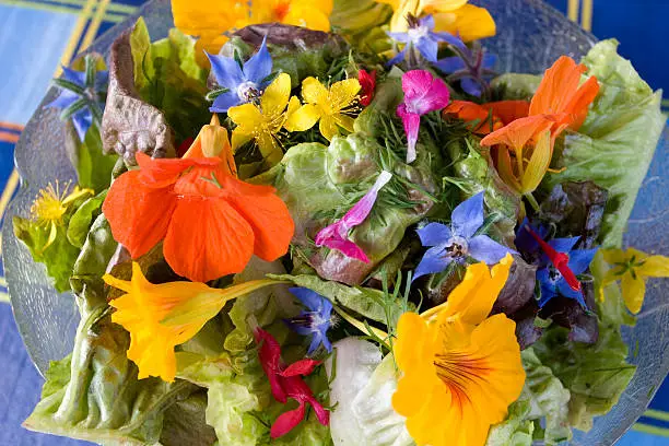 Photo of A bowl of summer salad with edible flowers