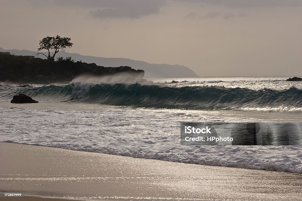 Surf di Waimea - Foto stock royalty-free di Acqua