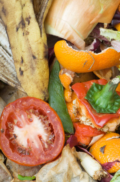 istock Domestic compost heap detail 172852434