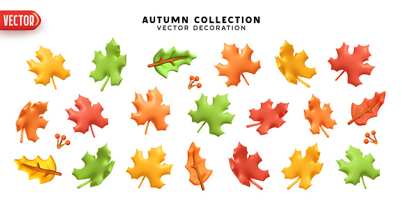 Set of autumn maple leaves on a white background. Realistic 3d cartoon plastic style. Decorative elements for seasonal compositions. Leaves colors yellow, green, red, orange. vector illustration
