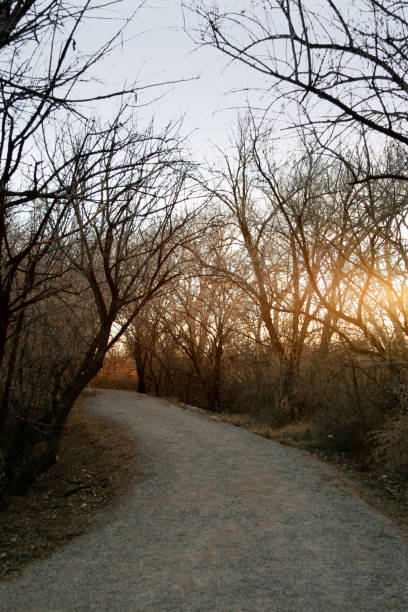 atardecer ruta de - robby gordon fotografías e imágenes de stock