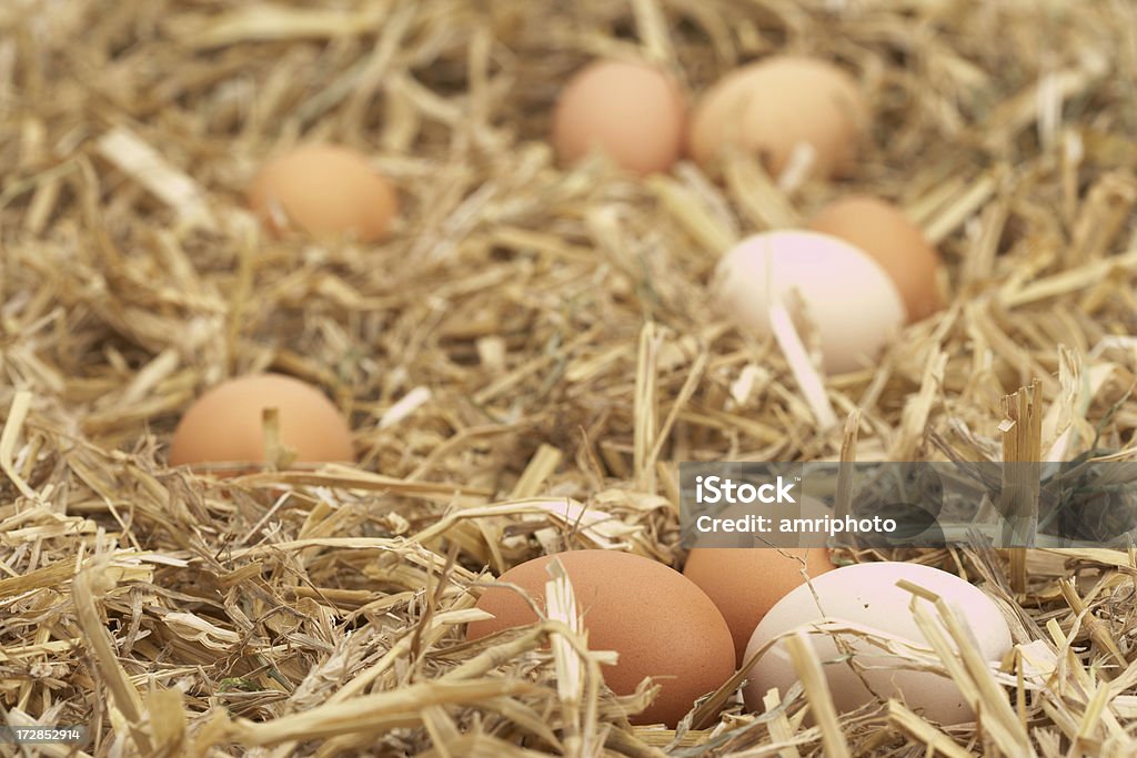 Hühner Eier - Lizenzfrei Ei Stock-Foto