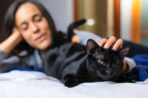istock A young woman smiles happily, while playing and lovingly stroking her black cat in bed, as she wakes up in the morning. 1728533417