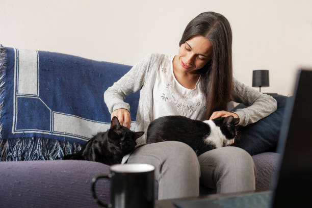 uma mulher acaricia e brinca com seus gatos, enquanto desfruta de uma xícara de chá com o laptop pc na mesa, sentada no sofá de casa. - domestic cat computer laptop kitten - fotografias e filmes do acervo