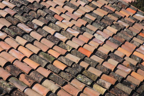 roof tiles stock photo