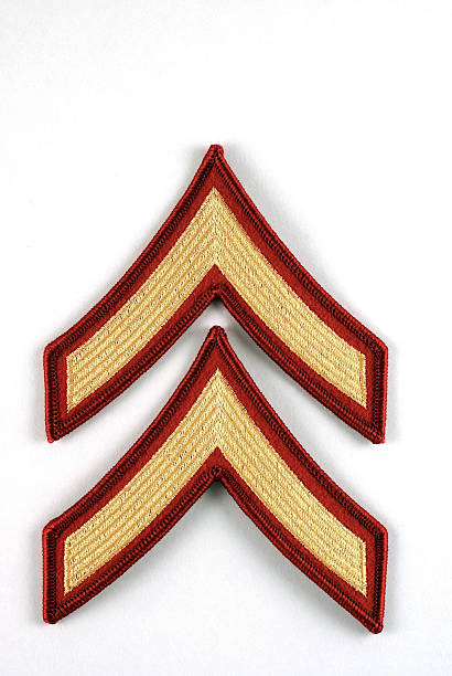 istock Set of Marine Private Rank Insignia 172854085