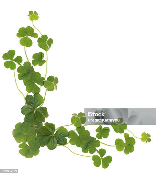 Shamrock Aislado Esquina Foto de stock y más banco de imágenes de Trébol - Trébol, Borde, Día de San Patricio