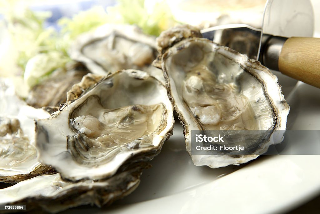 SeafoodStills: Ostrygi - Zbiór zdjęć royalty-free (Owoce morza)