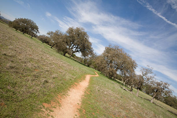 istock Green Plateau and Blue Sky 172856917