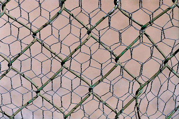 istock Wire Fence for Chicken Yard 172857001