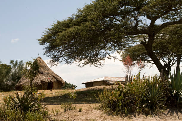 istock African hut in Ethiopia 172857099
